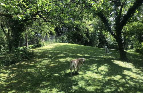 Die grüne Bleibe im Pfälzer Wald - Foto 22