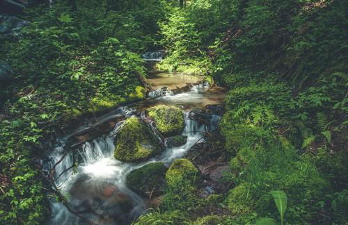 Chalet am Berg - Meredith Lodging - Foto 46