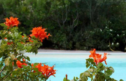 Domus Sol Aria - Foto 40