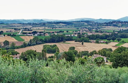 Agriturismo la Palazzetta di Assisi - Foto 45