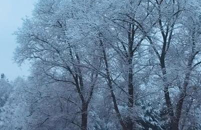 Domek Walentinki - Foto 34