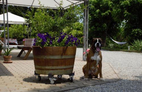 Casa dei Ciliegi Castell'Alfero - Foto 36