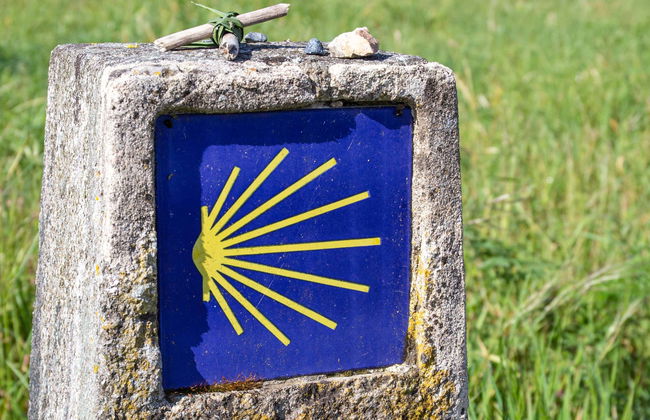 Caminho de Santiago francês em 7 dias - Foto 1