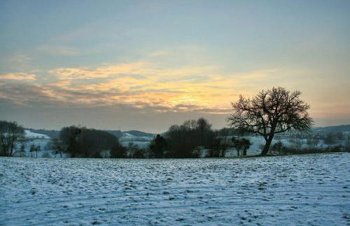 Ferienwohnung Mörlenbach - Foto 61