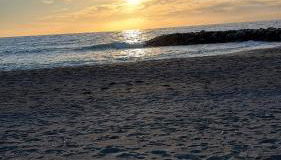 Arancello Apartment - Foto 4