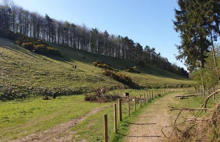 Holly Cottage, Hidden gem in the Yorkshire wolds - Foto 59