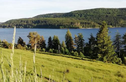 Ferienwohnung Sonnen Strahl - Photo 13