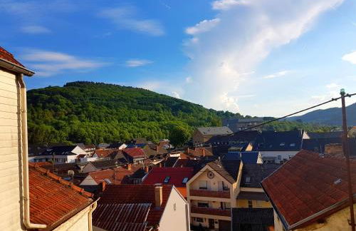 Ein Trip in die Natur - Foto 1