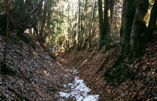 Ski-Lake Cottage Nízke Tatry - Foto 14