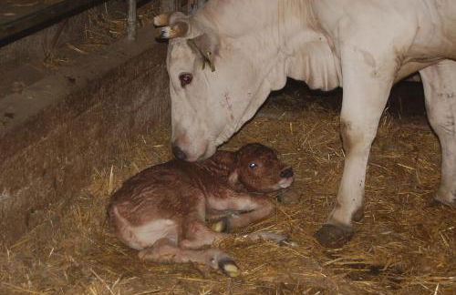 Agriturismo Casale dei Frontini - Photo 85