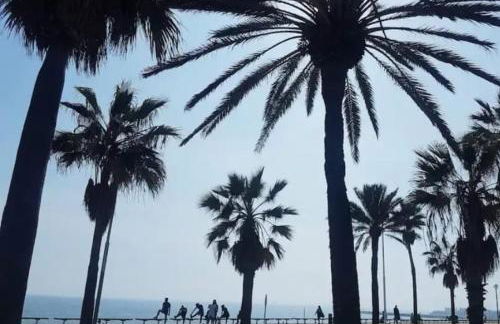 Confort apartamentos en playa, 3 DRM - Foto 30