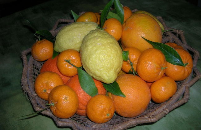 Agriturismo Baglio Donna Santa - Foto 34