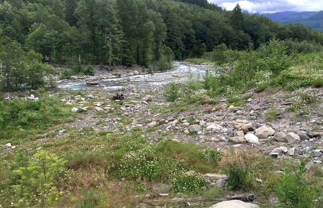 21GS - Log Cabin - Pets Ok - Sleeps 6 - Foto 18