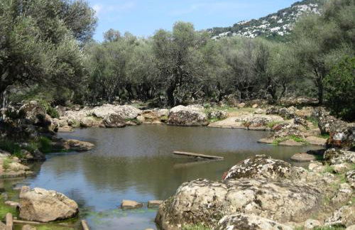 Home Balloon - Foto 44