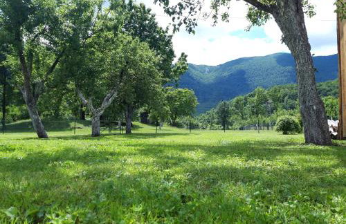 Kuća za odmor DIKKA Brušane Lika - Photo 52