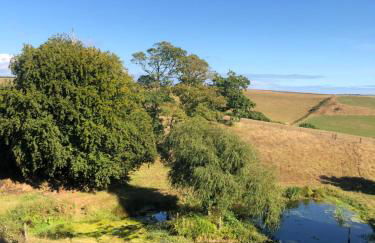 Beautiful one bed Pod in idyllic surroundings - Foto 11