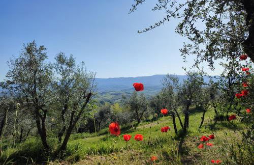 Agriturismo Cafaggio Primo - Foto 39