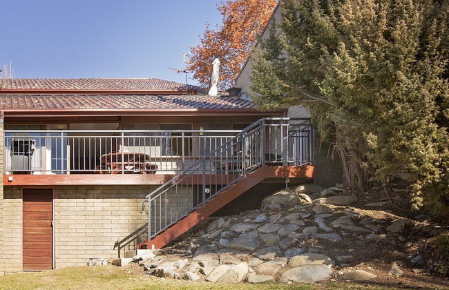 Grey Kangaroo- On Lake Jindabyne foreshore - Foto 23