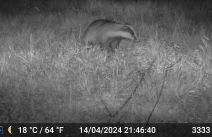 Casa nei 3 alberi, Molise - Foto 64