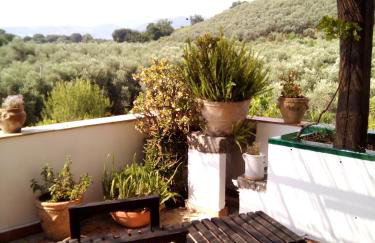 Masseria Sparano - Foto 33