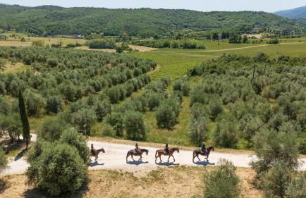 Appartamento Aurora, immerso nella natura e vicino a Firenze - Photo 29