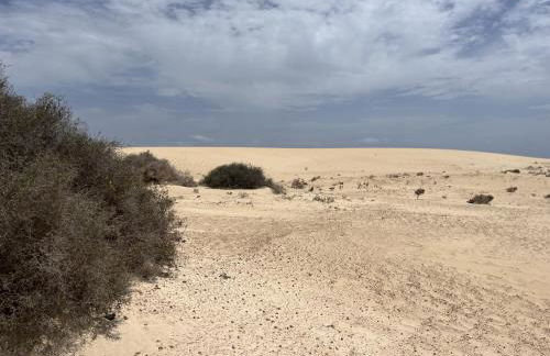 VILLA BF - Paraiso de Tranquilidad - Foto 36