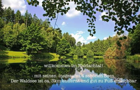 TheWoodenStack - Foto 4