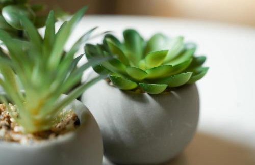 101-freiburg - Photo 28