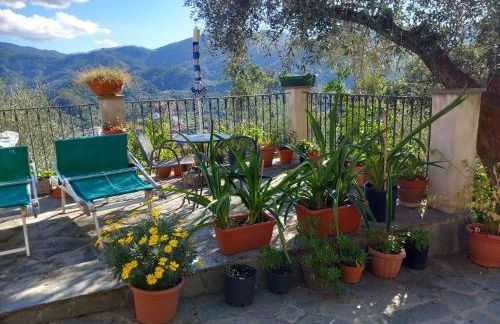 azienda agricola zulin casa elena - Foto 70