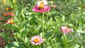 il Fienile di Penelope - Foto 5