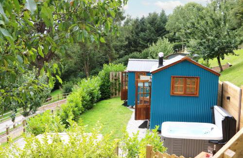 Little Silver Pheasant - Foto 1