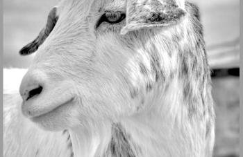 Apartamento La Barca "Rooftop BBQ Chill-out with Top View" - Foto 17