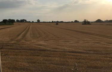 The Annex @ 3 East Town Cottages - Photo 37