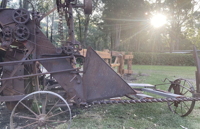 Mistinthegumtrees Eco Luxury Cabins - Photo 8