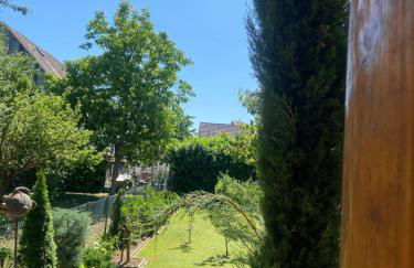 Kress No.1 - Foto 18