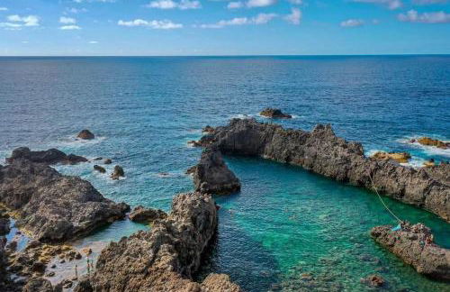 Musa Paradisiaca - Foto 41