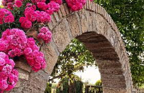 Mama’s Sunshine Garden Villa - Photo 49