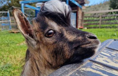 A Ca du Giaba - Foto 35