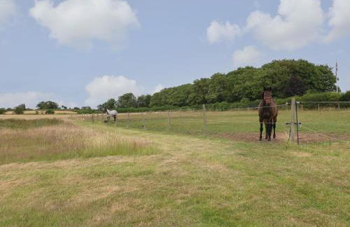 Holly Lodge - Foto 14