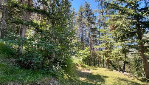 Chalet dans la verdure - Les Chapeliers - Foto 2