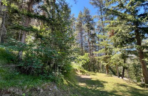 Chalet dans la verdure - Les Chapeliers - Foto 2