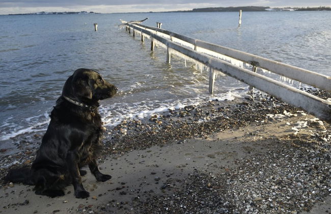 "Lander" - 20m from the sea - Foto 5