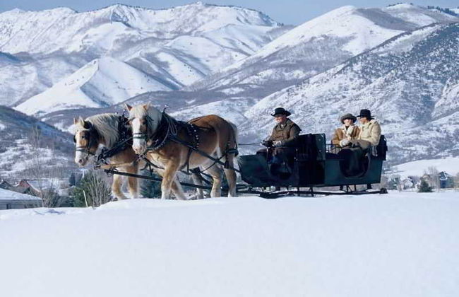 Homestead Resort - Photo 9