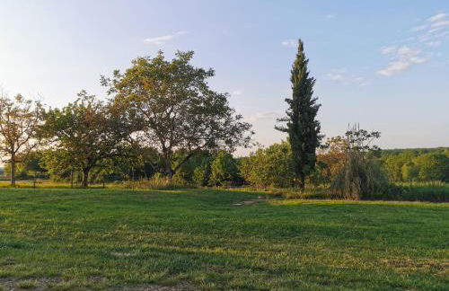 Les gîtes de la nouvelle vie - Foto 20