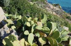 LA DOLCE VITA MAZET A GASSIN GOLFE DE SAINT TROPEZ - Foto 41