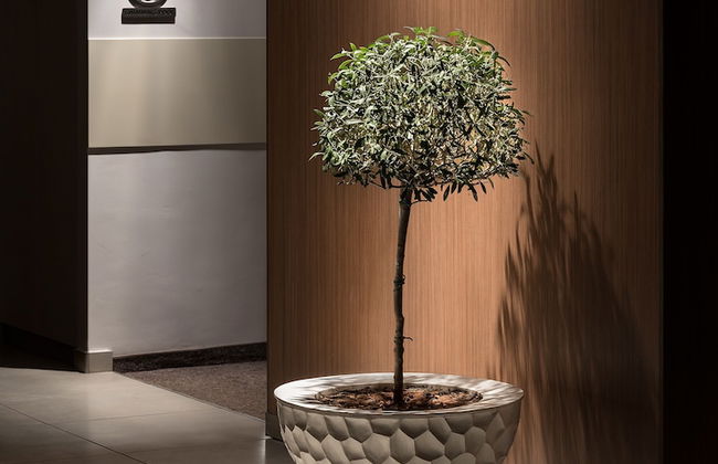 Sea View Hotel & Apartments - Foto 71