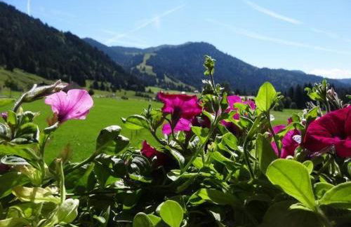 Albingers Landhaus - Photo 41