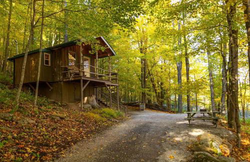 Treehouse Cabin in Riverton, WV - Foto 14