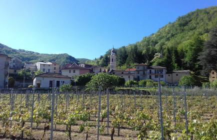 Agriturismo A Cà du Paipèru - Photo 9