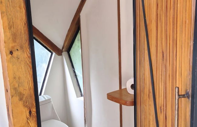 Bosque Geométrico - Foto 62